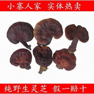  野生赤芝 野生灵芝 整枝带柄赤芝 免费切片磨粉 35元250克