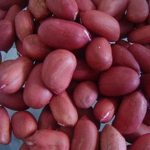  10月新花生 杂粮 粗粮 东北红皮花生红花生花生米红花生仁 四粒红