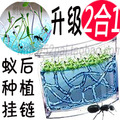 2合1正品特大号蚂蚁工坊 工房屋 送宠物蚂蚁20只+送种子+蚁后1元