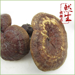  然生 云南原生态纯野生赤灵芝 野生赤芝红灵芝 5至8厘米4件包邮