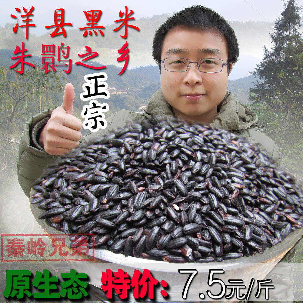 有机黑米农家自产朱鹮之乡正宗洋县黑米500g杂粮粗粮非云南黑米