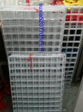 taobao english 9518768232
