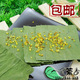 【香体荷叶茶】减肥茶 一月量90包/117元 买两月量再送30包