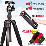 taobao english 16165940835