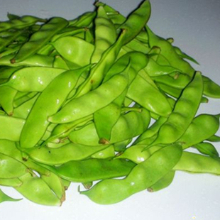  东北特产 油豆角 哈尔滨油豆角 东北新鲜蔬菜 空运油豆角 开锅烂