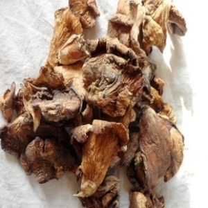  特产食品 野生元蘑 冬菇干货 东北大兴安岭山珍 黑龙江特产250g