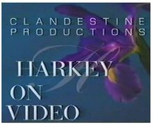 ����ǿЧ������ħ�� David Harkey - Harkey On Video
