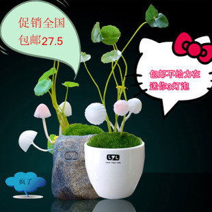 刘谦 <em>陈冠霖</em> 视觉效果超强的心灵魔术 杯中迷 咖