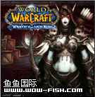 上海【鱼鱼国际】魔兽世界 欧服 人工代练（保证安全+效率）