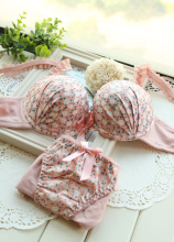 新品内衣套装 素雅碎花文胸套装 聚拢 可爱 热卖BRA