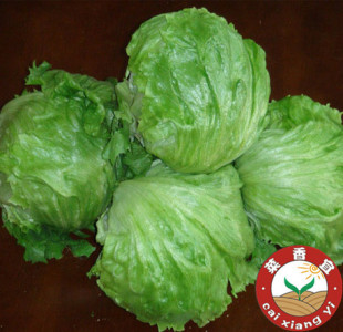  新鲜蔬菜同城配送 有机球生菜 烧烤色拉菜市场首选 今日特价秒杀