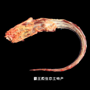  新鲜 牛尾巴 牛骨头 黄牛肉 生牛肉 补气 养血 强筋骨