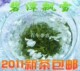 峨眉山茉莉花茶叶【特级碧潭飘雪/2011年新茶抢先上市】250G包邮