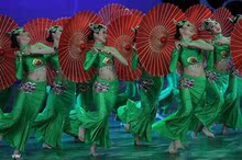 民族舞蹈服装/红是红绿是绿舞蹈表演服饰/傣族孔雀舞舞蹈演出服装