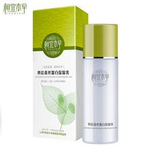 ���� ��Ʒ���� ���˱����ı���˿���ױ�ʪ��Һ100g ���ײ�ˮ