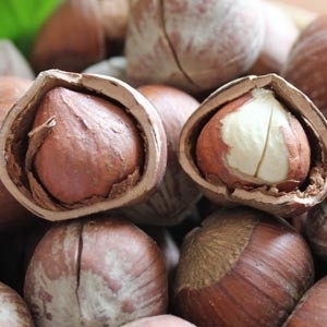  2斤包邮/特价/新货/东北野生开口榛子坚果年货零食品首选250克