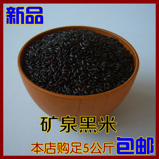  东北特产/黑龙江五大连池优质有机新黑米/自产新黑米