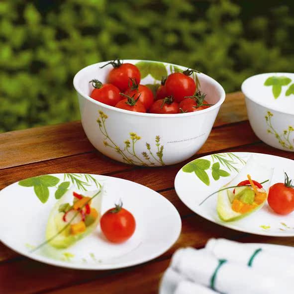 正品 美国康宁餐具 饭碗/圆盘/汤盘套组欧洲香草厨房餐饮用具特价 正品 美国康宁餐具 饭碗/圆盘/汤盘套组欧洲香草厨房餐饮用具特价