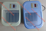 taobao english 9993735416