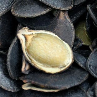  年货【新农哥】坚果零食 新货  南瓜子 黑金刚瓜子160g