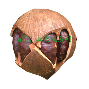  12特大临安山核桃椒盐 手剥奶油小核桃250g 超好剥型2斤免邮a777