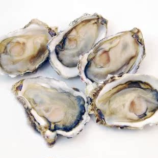  宅鲜配 新鲜活冻生蚝 营养美味 烧烤火锅必备 50g/只