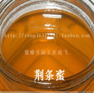  江山蜂产品┫蜜蜂乐园┫封盖荆条蜜纯蜂蜜1斤 保肝清热解毒助消化