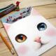 韩国 Jetoy 经典头戴红蓝宝石的可爱喵喵日记本