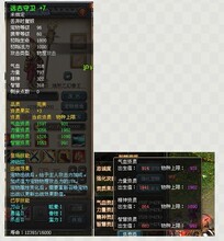 QQ幻想世界 上海一区南京路 宠物宝宝 完美+7高资质远古守卫