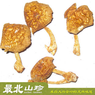  【12年秋蘑菇】东北大兴安岭 顶级滑子蘑滑子菇 干货 250g5件包邮