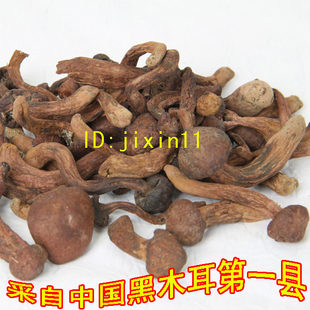  东北  黑龙江土特产干货 龙宾耳松蘑菇松树伞红蘑丁新货 2件包邮