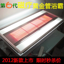 ���ɵ���ԡ�� ̼��άԡ�� ��Ʒ ŷ�չ�Դ ���ƻƽ�� �๦��ԡ��
