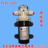 taobao english 10562244101