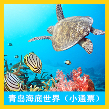 青岛旅游/海底世界小通票/特价70元/赠送小青岛门票
