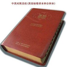 ��Ӣ�Ķ���ʥ��ESV���Ĵָ ������ �������� ��һ��ʮ
