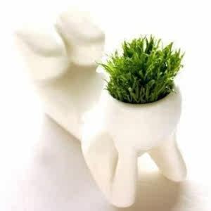 小白人草娃娃(趴)
