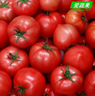  [壹号厨房]绿色食品新鲜蔬菜 西红柿/番茄 北京配送 一斤约3个