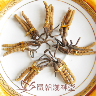  【凰朝】3根一克 青海玉树虫草 特干冬虫夏草正品礼盒 同仁堂级别