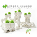 X恋人魔草种植爱恋