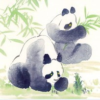 苏绣DIY套件 动物乱针绣 国宝 大熊猫 新手简单