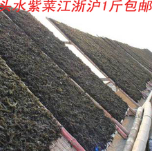 苍南特产自家野生头水紫菜海苔 无沙免洗鲜嫩原味无添加 两斤包邮