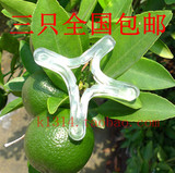 最新X型包皮阻复环 加固型更给力 降低敏感度 矫正器 买二包邮