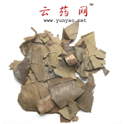 【草本云药】灯台叶 100g 云南正品药材