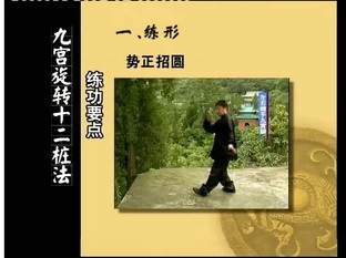 武当九宫旋转十二桩法 杨群力(太乙五行拳基础