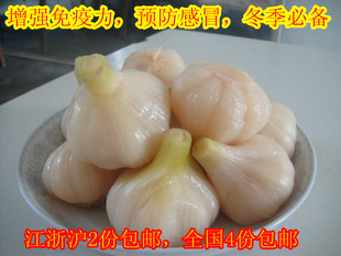  【宁波特产】风味酱菜，糖醋大蒜，下饭菜杀菌开胃 预防感冒必备
