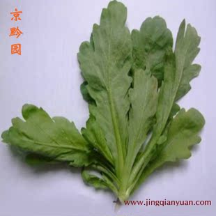 【京黔园】绿色食品优质蔬菜 茼蒿 北京买菜当天送到家