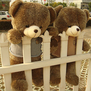 毛毛熊1.6米大号熊娃娃(熊娃娃，)公仔1.2米泰迪熊，毛绒玩具情人节女生日礼物