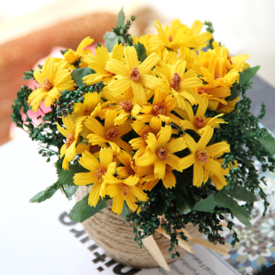  田园雏菊 仿真花 套装 美人菊 仿真花 假花装 饰花 田园装饰