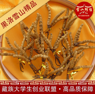  【索南才让】冬虫夏草 果洛雪山虫草 藏族大学生家乡4根/克 218元