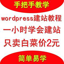SEO建站WP建站教程 培训介绍 一天学会建站 白菜价格 买一送三